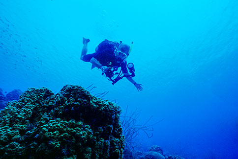 Diver Scenic