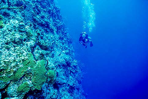 Diver Scenic - Cayman Brac