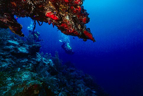 Diver Scenic - San Andres Island