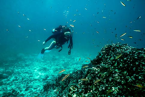 Diver Scenic - Coiba Island
