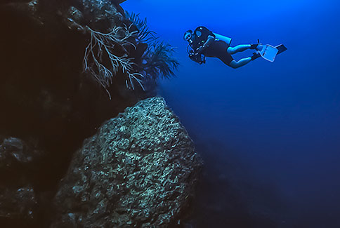 Diver Scenic