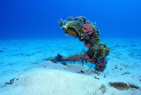 Encrusted Anchor - Dry Tortugas